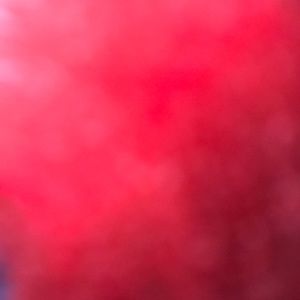 Meet your Posher, Rocio